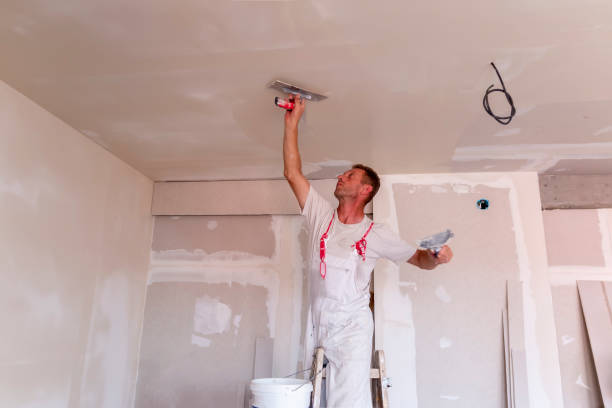 Best Drywall Repair  in Arlington, TX